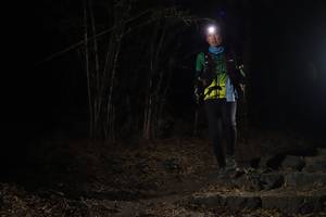 BIB: 
                            <button type="button" onclick="openModal(6960209)" class="btn btn-primary btn-sm float-right btn-popup" data-toggle="modal" data-target=".modal-high-quality">
                        <i class="fas fa-shopping-cart"></i> Add to Cart
                    </button>
                                            <button type="button" onclick="isThisMe(6960209, true)" class="btn btn-success btn-sm float-right btn-popup btn-isme hidden" data-toggle="tooltip" data-placement="bottom" title="นี่คือรูปของคุณใช่ไหม คลิกที่นี่เพื่อเอาเข้าอัลบั้ม">
                        <i class="fas fa-plus"></i> Add to album
                    </button>
                    <button type="button" onclick="isThisMe(6960209, false)" class="btn btn-warning btn-sm float-right btn-popup btn-isnotme hidden">
                        <i class="fas fa-ban"></i> Remove from album
                    </button>